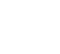 Prime Vector